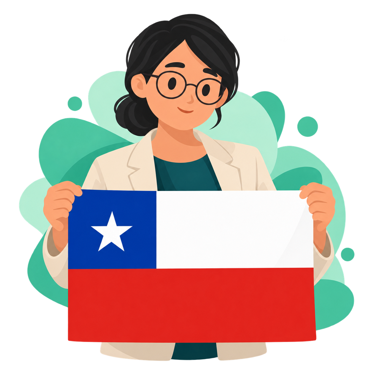 A guide holding Chile’s flag accompanies the legal information.